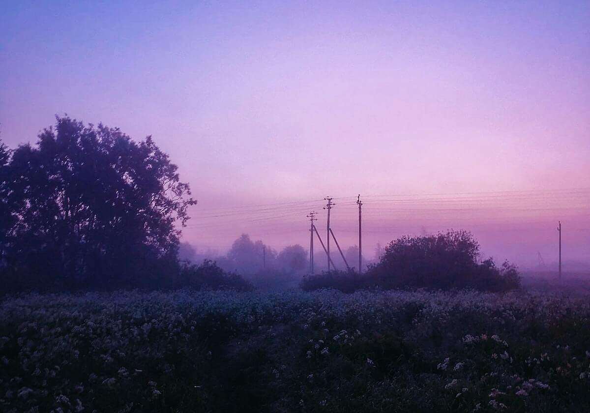 加布里埃尔扫射打破僵局，古斯塔沃头球摆渡，海港客场领先浙江